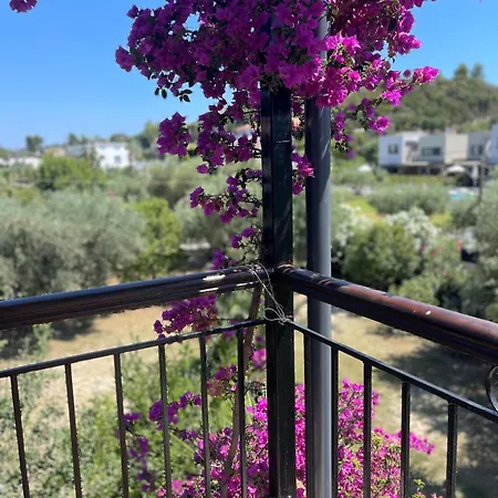 公寓 Andromachi's House *