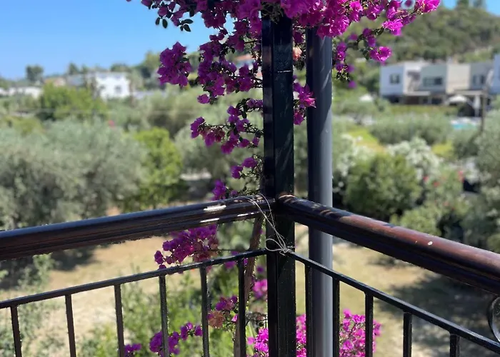 Apartament Andromachi's House *