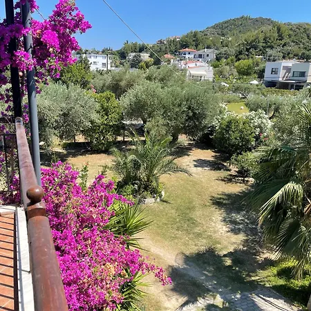 Andromachi's House *